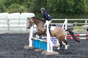 Class 5 - Fences not above 2'6